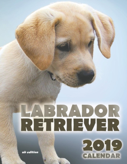 Labrador Retriever 2019 Calendar (UK Edition), Paperback / softback Book
