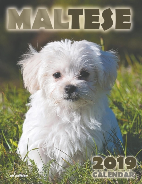 Maltese 2019 Calendar (UK Edition), Paperback / softback Book