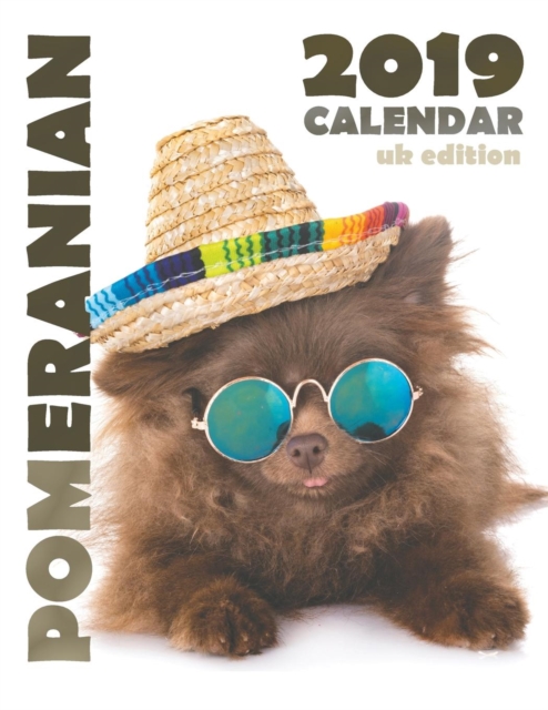 Pomeranian 2019 Calendar (UK Edition), Paperback / softback Book
