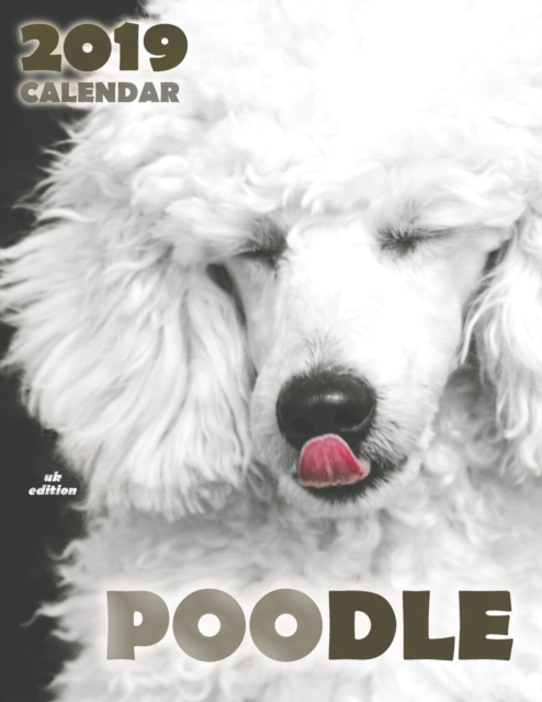 Poodle 2019 Calendar (UK Edition), Paperback / softback Book