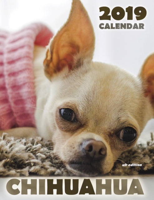 Chihuahua 2019 Calendar (UK Edition), Paperback / softback Book