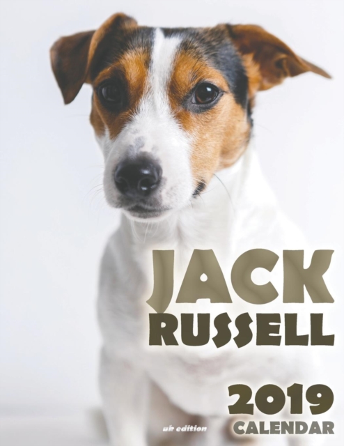 Jack Russell 2019 Calendar (UK Edition), Paperback / softback Book