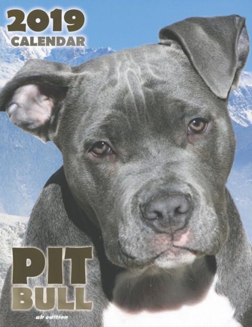Pit Bull 2019 Calendar (UK Edition), Paperback / softback Book