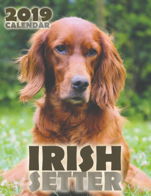 Irish Setter 2019 Calendar (UK Edition), Paperback / softback Book