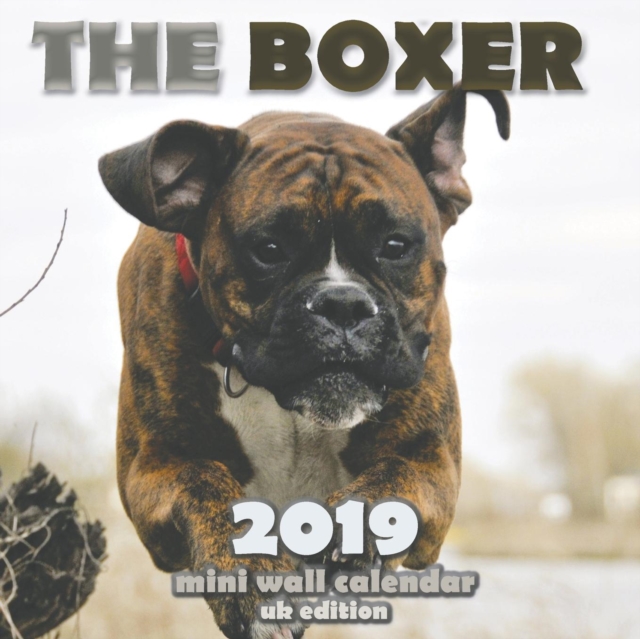 The Boxer 2019 Mini Wall Calendar (UK Edition), Paperback / softback Book