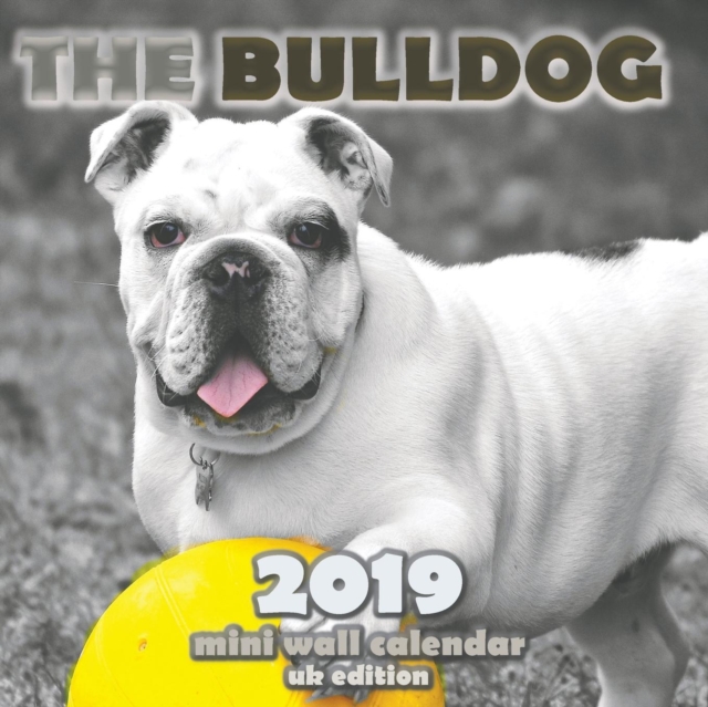 The Bulldog 2019 Mini Wall Calendar (UK Edition), Paperback / softback Book