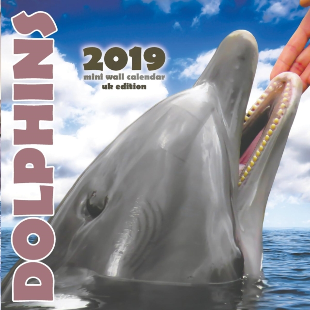 Dolphins 2019 Mini Wall Calendar (UK Edition), Paperback / softback Book