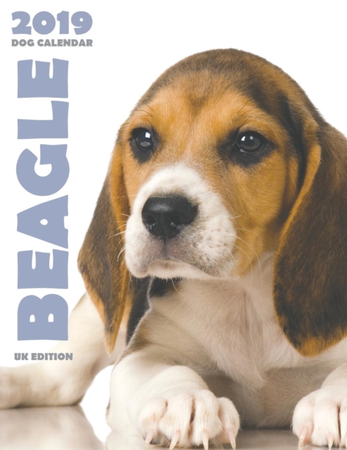 Beagle 2019 Dog Calendar (UK Edition), Paperback / softback Book