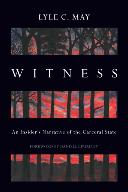 Witness : An Insider's Narrative of the Carceral State, Paperback / softback Book