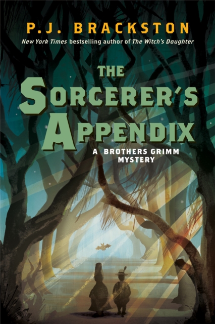 The Sorcerer's Appendix : A Brothers Grimm Mystery, Paperback / softback Book