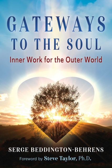 Gateways to the Soul : Inner Work for the Outer World, EPUB eBook