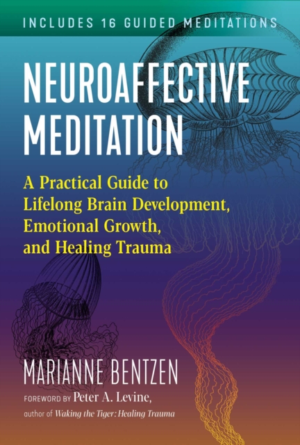 Neuroaffective Meditation : A Practical Guide to Lifelong Brain Development, Emotional Growth, and Healing Trauma, Paperback / softback Book