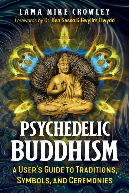 Psychedelic Buddhism : A User's Guide to Traditions, Symbols, and Ceremonies, EPUB eBook