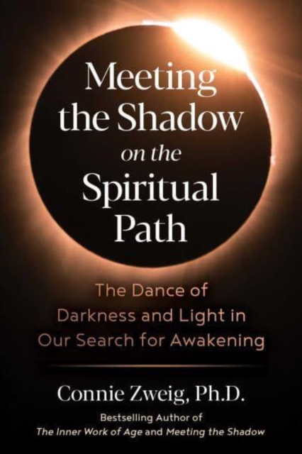 Meeting the Shadow on the Spiritual Path : The Dance of Darkness and Light in Our Search for Awakening, Paperback / softback Book
