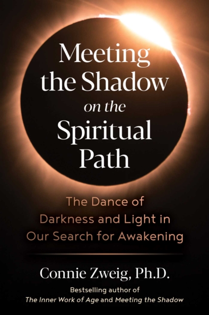 Meeting the Shadow on the Spiritual Path : The Dance of Darkness and Light in Our Search for Awakening, EPUB eBook