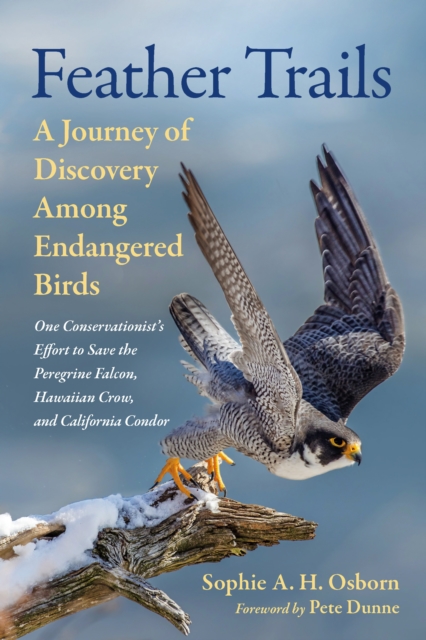 Feather Trails : A Journey of Discovery Among Endangered Birds, Hardback Book