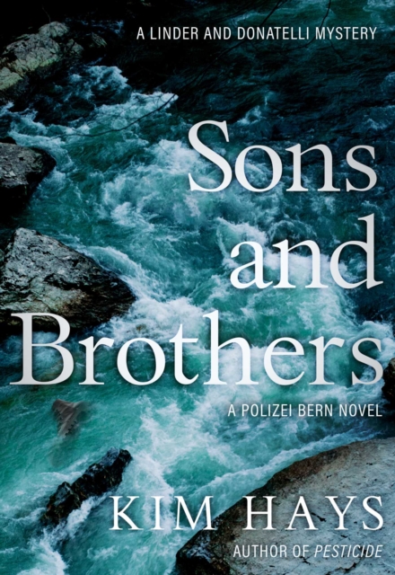 Sons and Brothers, EPUB eBook