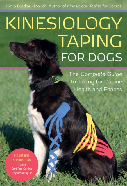 Kinesiology Taping for Dogs : The Complete Guide to Taping for Canine Health and Fitness, Paperback / softback Book