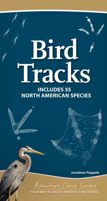 Bird Tracks : Easily Identify 55 Common North American Species, Spiral bound Book
