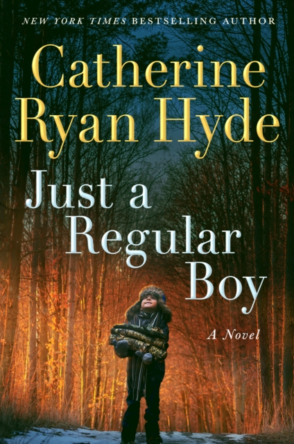 Just a Regular Boy : A Novel, Hardback Book