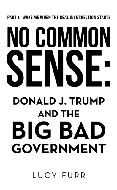 No Common Sense: : Donald J. Trump and the Big Bad Government, EPUB eBook
