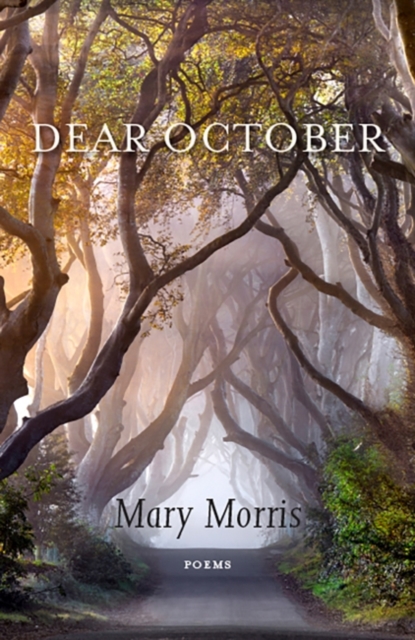 Dear October : Poems, Paperback / softback Book
