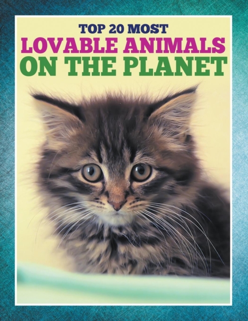 Top 20 Most Lovable Animals On The Planet, Paperback / softback Book