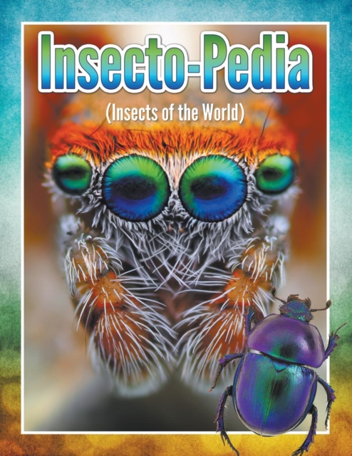 Insecto-Pedia (Insects of the World), Paperback / softback Book