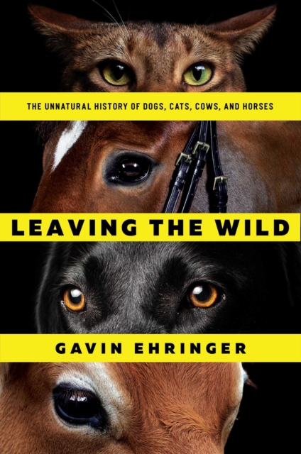 Leaving the Wild : The Unnatural History of Dogs, Cats, Cows, and Horses, EPUB eBook