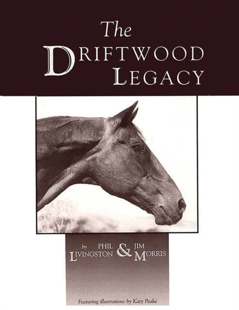 The Driftwood Legacy : A Great Usin' Horse and Sire of Usin' Horses, Paperback / softback Book