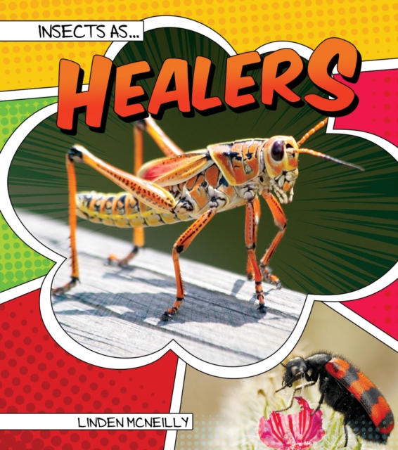 Insects as Healers, PDF eBook