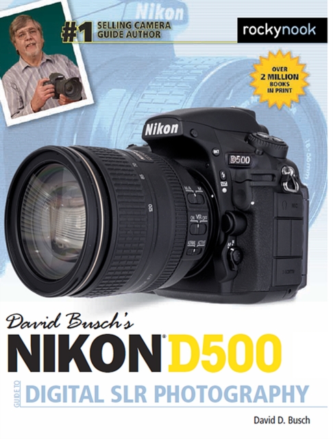 David Busch's Nikon D500 Guide to Digital SLR Photography, EPUB eBook