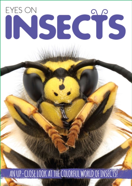 Eyes On Insects, Hardback Book