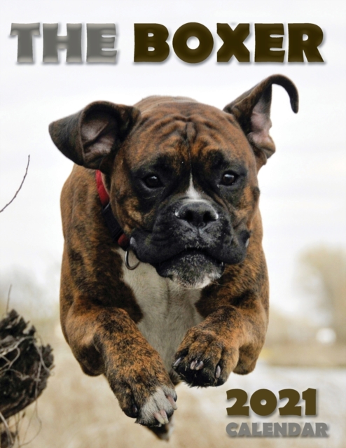 The Boxer 2021 Calendar, Paperback / softback Book