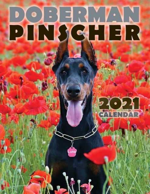 Doberman Pinscher 2021 Calendar, Paperback / softback Book