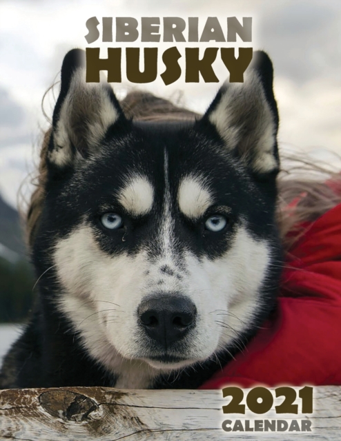 The Siberian Husky 2021 Calendar, Paperback / softback Book