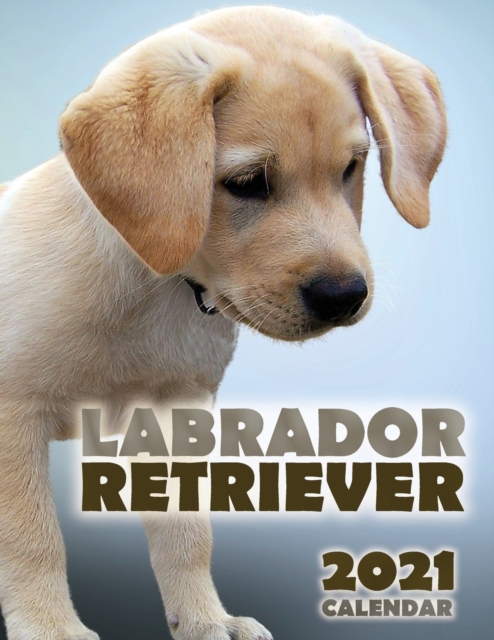 Labrador Retriever 2021 Calendar, Paperback / softback Book