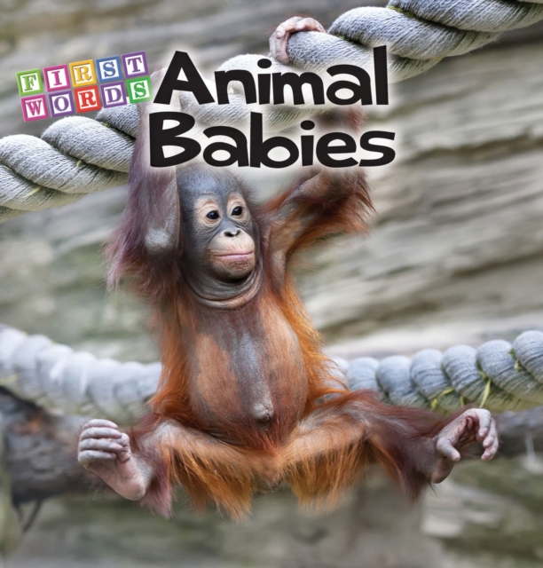Animal Babies, EPUB eBook