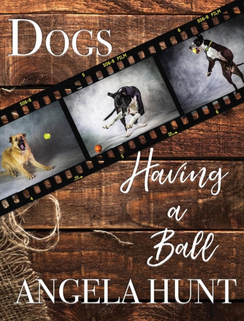 Dogs Having a Ball, Hardback Book