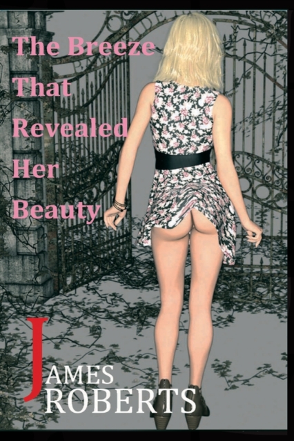 The Breeze That Revealed Her Beauty : The Breeze Brought Her To Me, Paperback / softback Book