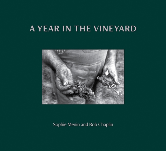 A Year in the Vineyard, Hardback Book