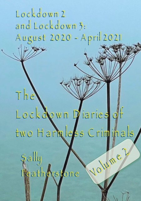 Lockdown Diary 2, Paperback / softback Book