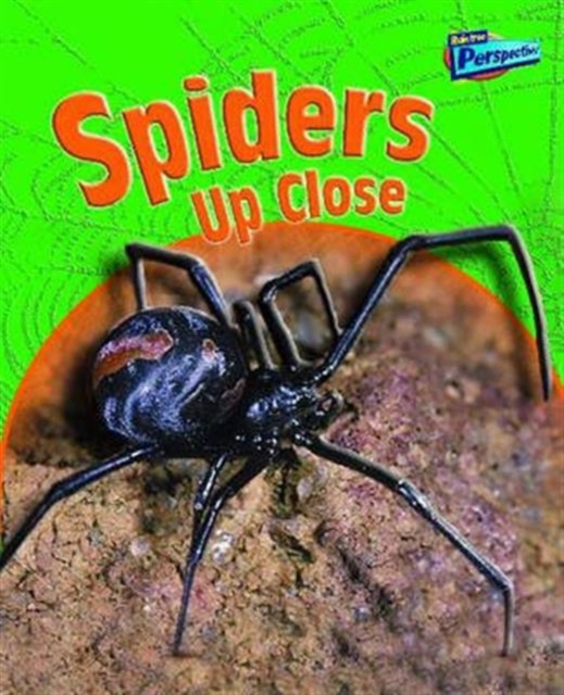 Spiders Up Close, Hardback Book
