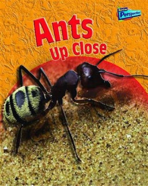 Ants Up Close, Hardback Book