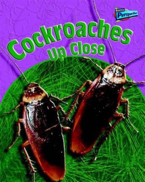 Cockroaches Up Close, Hardback Book