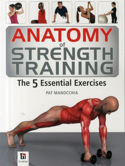 Anatomy of Strength Training The 5 Essential Exercises, Paperback / softback Book