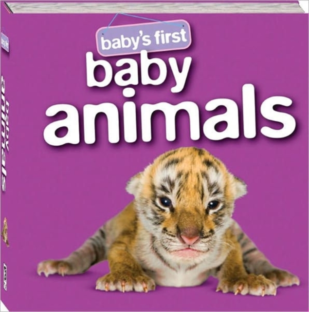 Baby Animals, Hardback Book