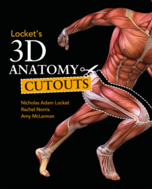 Locket's 3D Anatomy Cutouts, Paperback / softback Book
