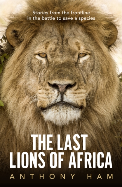The Last Lions of Africa : Stories from the frontline in the battle to save a species, Paperback / softback Book