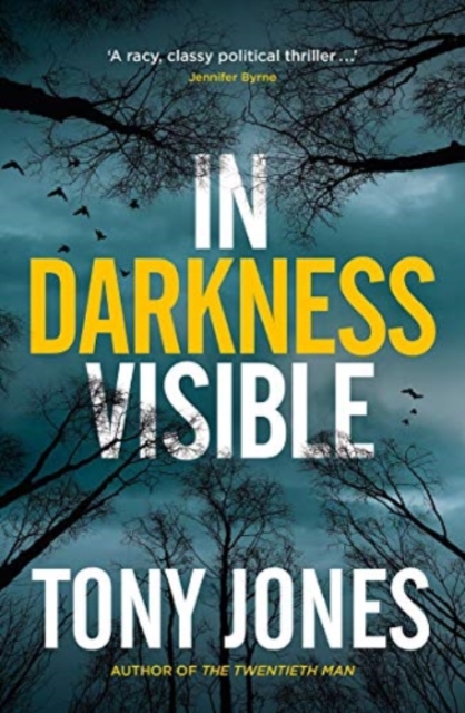 In Darkness Visible, Paperback / softback Book